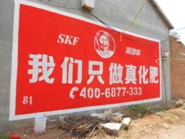 定远刷墙广告”蕴含了时代命题