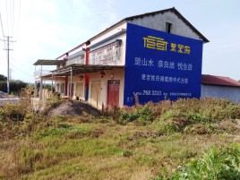  定远必须知道的墙体广告形势