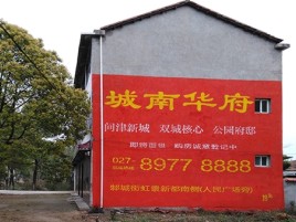  定远百分之90的人都不了解的农村墙体广告