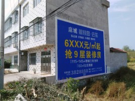  定远墙体广告质量分析