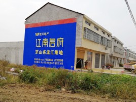  定远农村墙体广告在不同形式上面展现的不同特色
