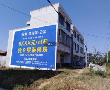 如何策划 定远墙体广告的投放？