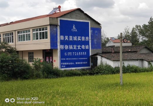  定远决定墙体广告价格的因素有哪些？