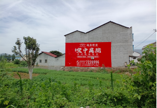  定远做墙体广告的意义