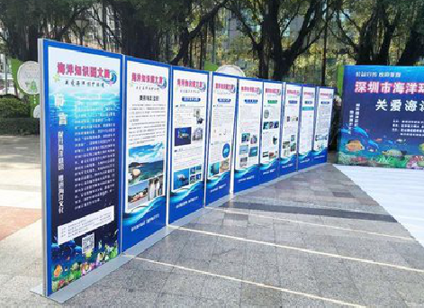  定远KT板的种类和知识。